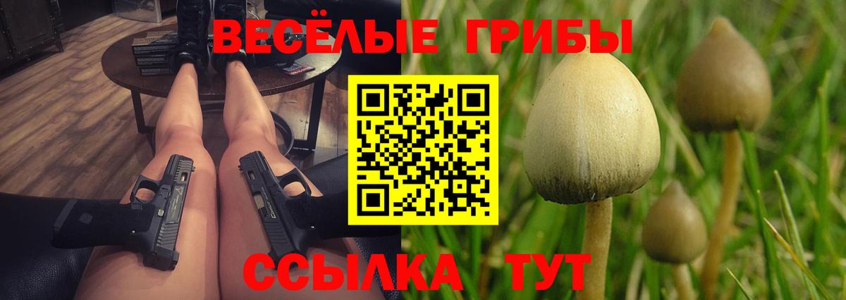 Артём  Галлюциногенные грибы Cubensis  Вход с VPN  Псилоцибиновые грибы прущие грибы 